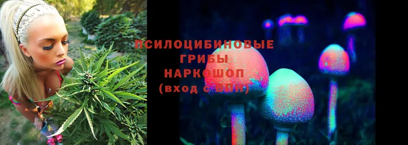 Псилоцибиновые грибы Magic Shrooms Циолковский